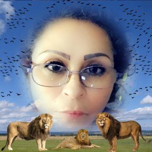 Meet your Posher, Eva